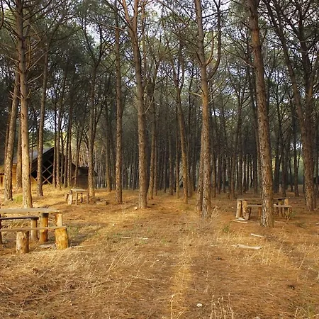 Disco Touch Restaurant & Wellness Village Camping *